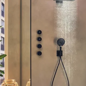 Hansgrohe Raindance E + Duoturn E matt black