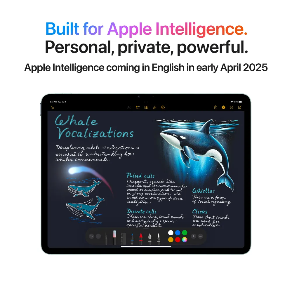 13-inch iPad Air Wi-Fi + Cellular 512GB - Space Gray (M3)