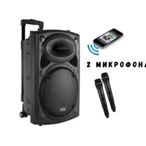Bluetooth тонколона 15 инча с подарък 2 микрофона
