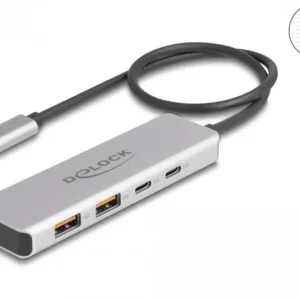 USB хъб Delock 64230, USB-C - 2 x USB-C, 2 x USB-, 10 Gbps