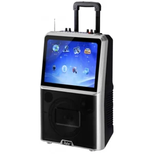 Караоке тонколона ZEPHYR ZP 9999 E, 15" цветен LED дисплей, Bluetooth, MP3, 2 бр. безжични микрофона, Черен